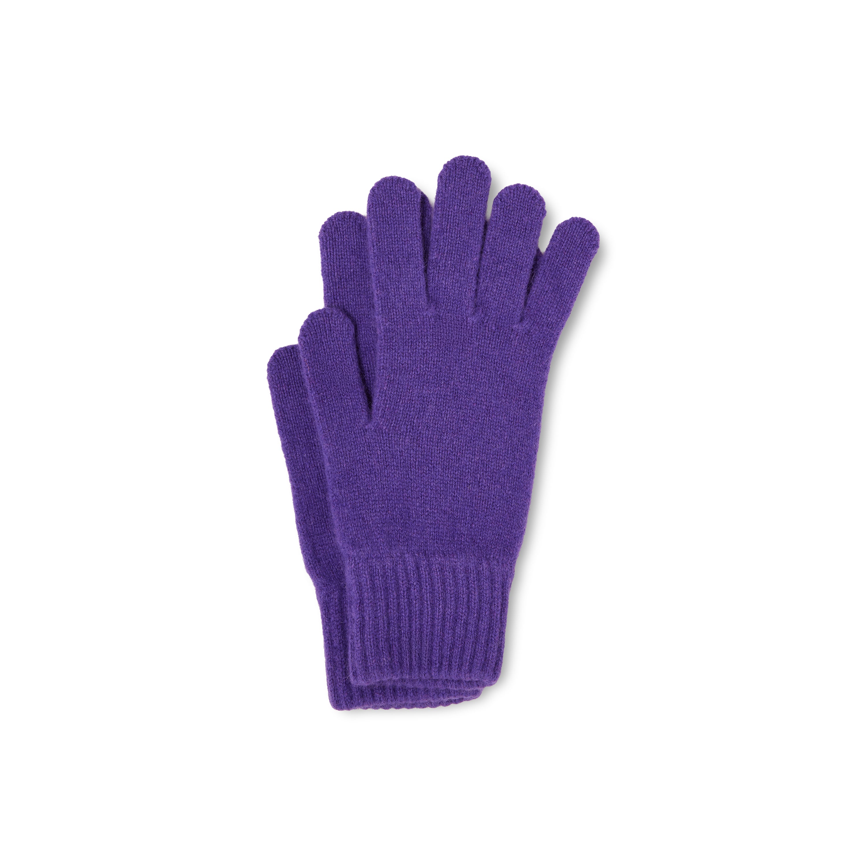 GANTS PURPLE HAZE
